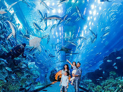 Dubai Aquarium & Underwater Zoo